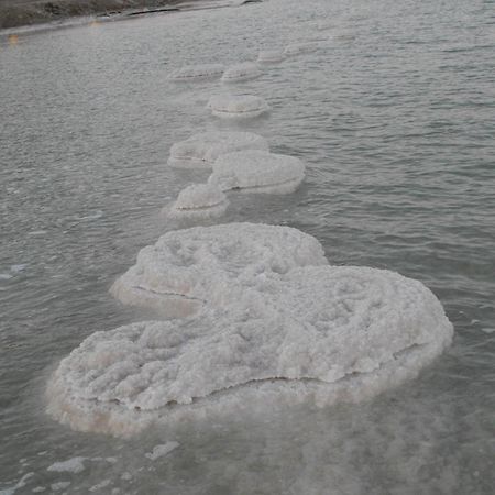 Zimmer Dora Neve Zohar Dış mekan fotoğraf