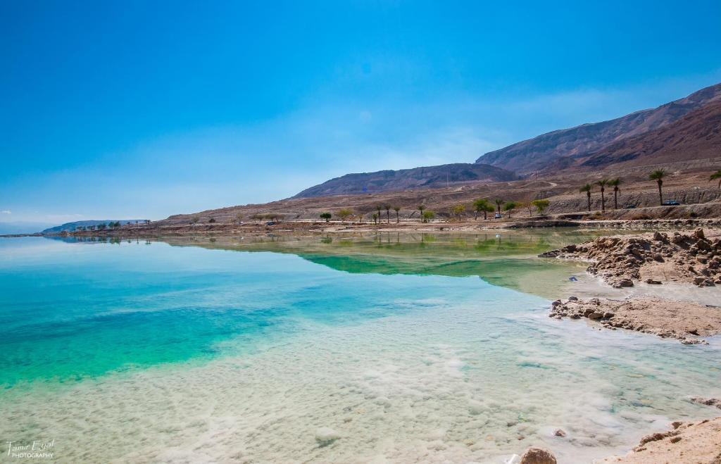 Zimmer Dora Neve Zohar Dış mekan fotoğraf