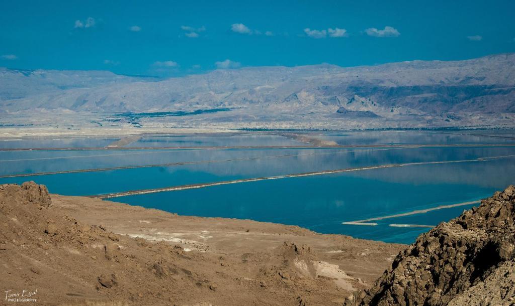 Zimmer Dora Neve Zohar Dış mekan fotoğraf
