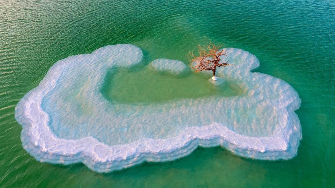 Zimmer Dora Neve Zohar Dış mekan fotoğraf